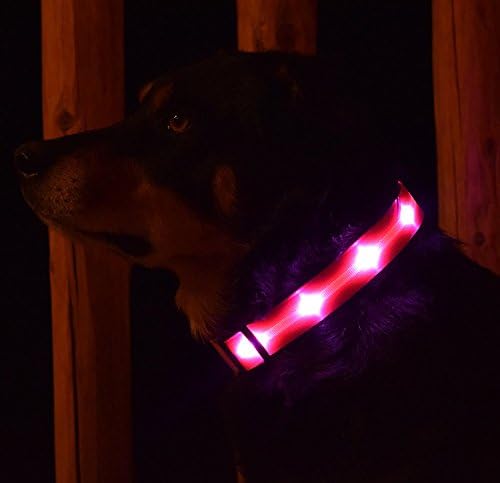 Класически led нашийник за кучета от Yippr - USB Акумулаторна нашийник за кучета с led подсветка с 4 настройки - Подобрява видимостта, защитна яка, използвайте през нощта, благодарение на сверхяркому миганию, найлонов