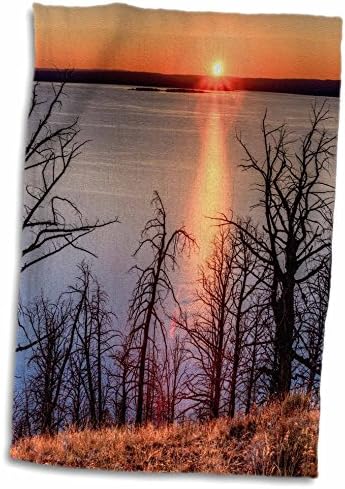 3D Розово езерото Йелоустоун-Изгорени дървета-Уайоминг-САЩ-Us51 Tno0042-Кърпа Том Норринга, 15 x 22