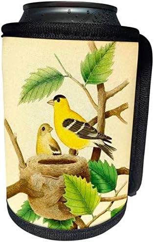 3dRose Ретро Принт с изображение на птица Американски Щиглец Красив. - Опаковки за бутилки-охладители (cc-364680-1)