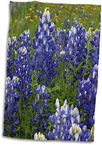 3дРоза - Данита Делимонт - Цветя - Диви цветя в Техасских планините. Сини шапки - Кърпи (twl-332114-1)